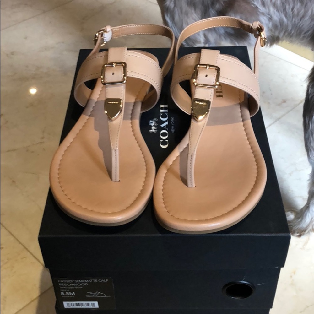 Coach sandals